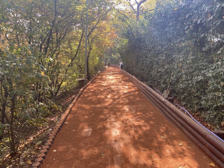 BR-111-9 남양재 축대목 