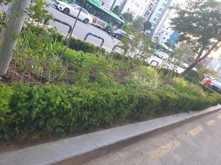 띠녹지 식재 공사 - 봉천동