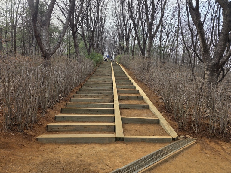 BR-95 계단목(H4방부)