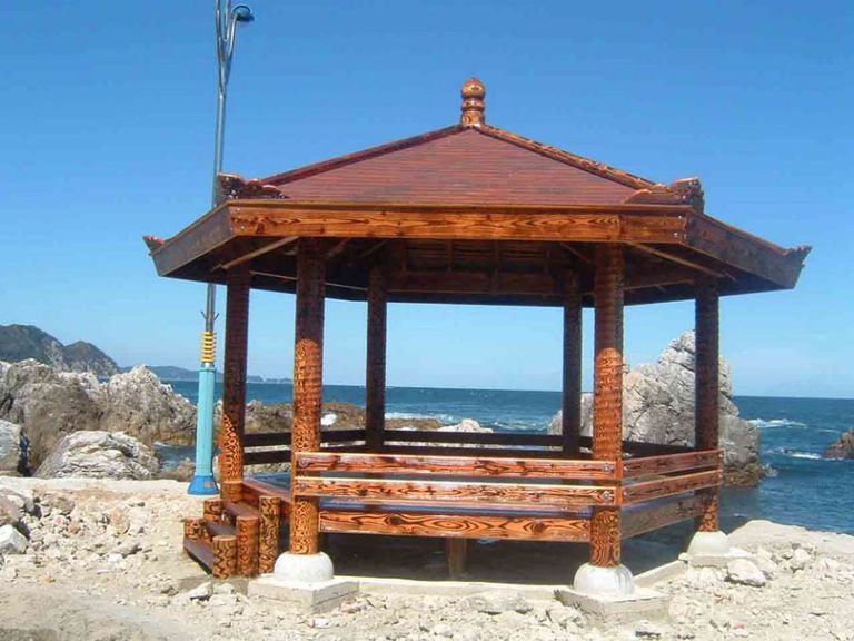 BR-58-1 육각정자