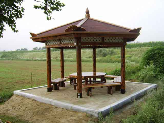 BR-56-2 육각정자