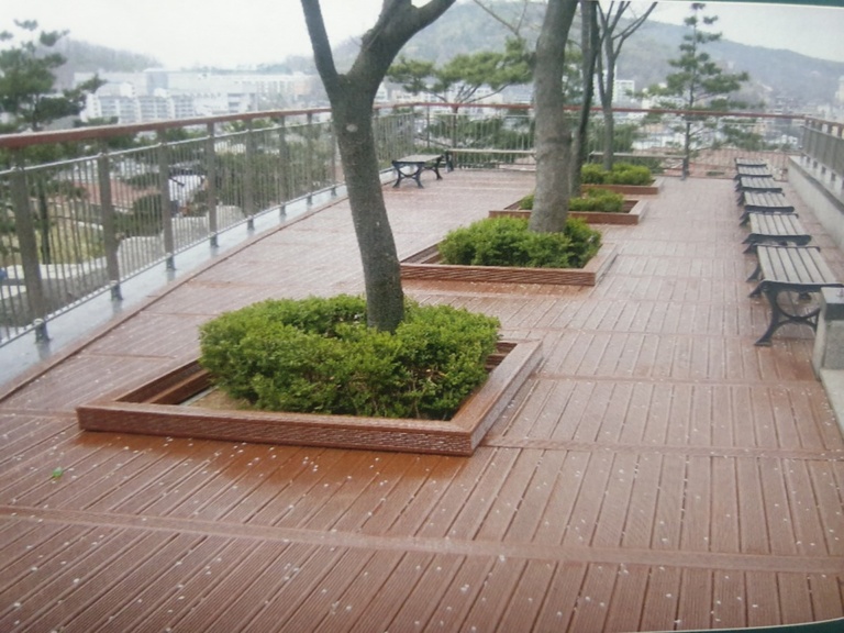 서대문자연사박물관 말라스 목재 데크