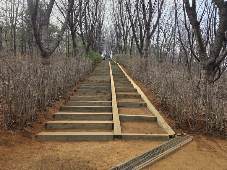 계단목 설치 공사 - 강서구 봉제산 